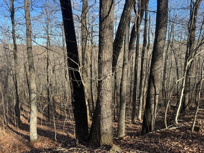 not in subdivision - Land