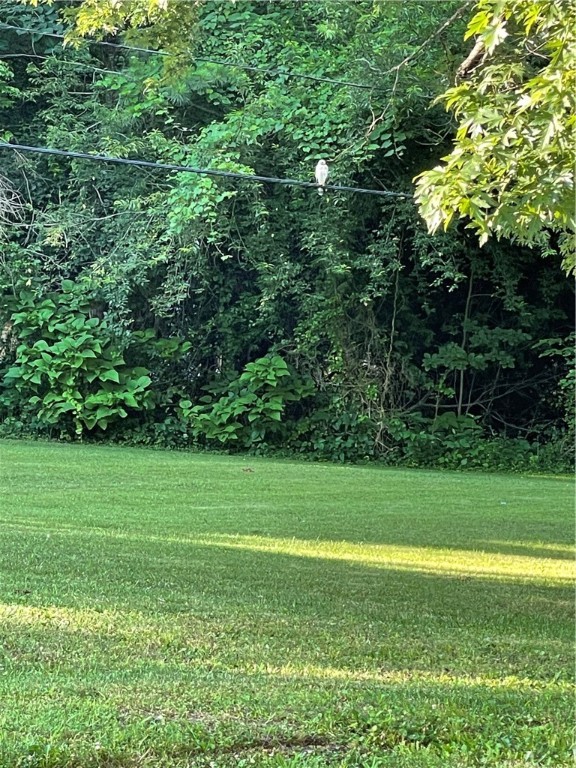 West Fork Outlots - Residential