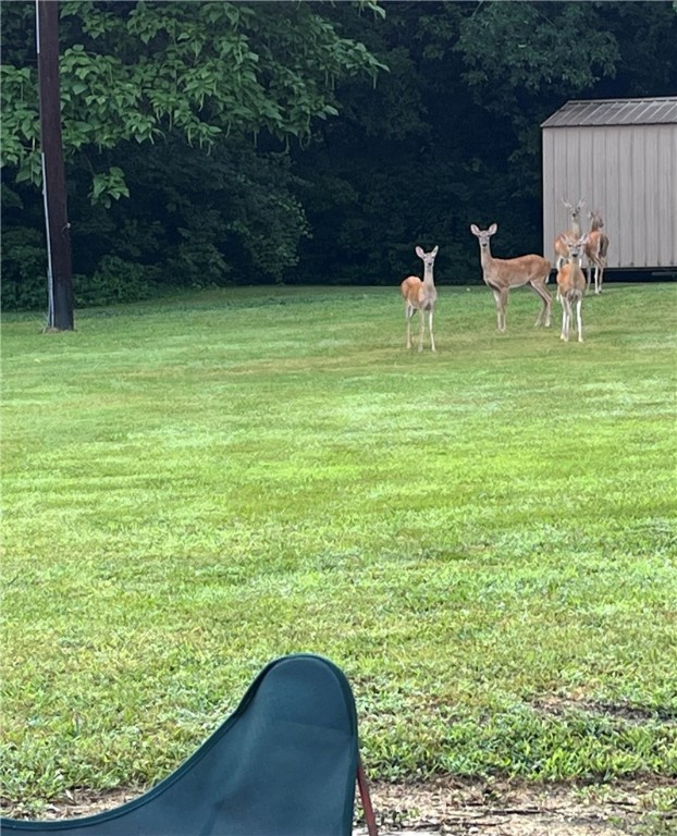 West Fork Outlots - Residential
