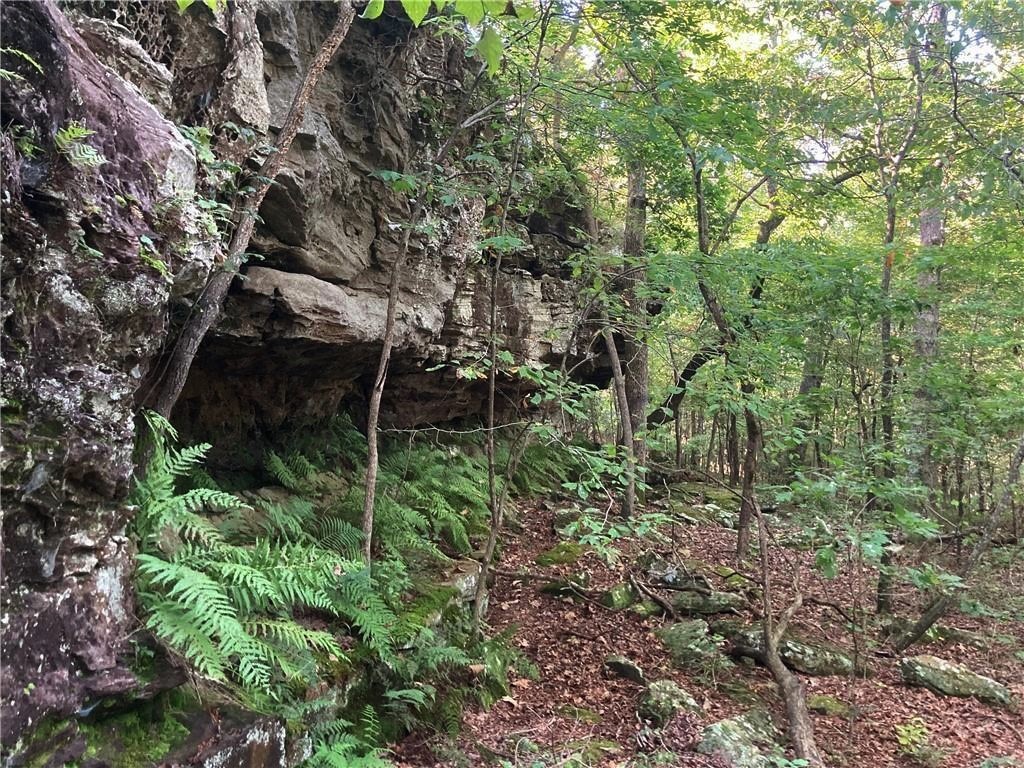 Mostly wooded with creek running thru lower part of the property fed by Lincoln Lake and beautiful overlook/cave like areas. Great spot for hunting or getting off the grid with Existing well, septic system & electric. Property is being sold "as is". Building, 800 SF, with peaked roof would make an ideal cabin, storage or work shed. Located near Budd Kidd, Lincoln Lake, and Lake Wedington Recreational Area. Wildlife present. Great spot for hunting