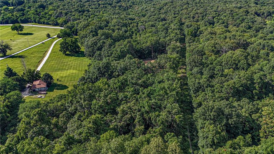 BUILD YOUR DREAM HOME! This 8.19 acres +/- with a clearing surrounded by woods is just what you have been waiting for to build your dream home! Electricity at the street! Seller to purchase water tap! Located minutes from West Fork, Devils Den State park, and a short drive to Fayetteville! The cleared area provides an excellent starting point for your construction plans, while the surrounding woods ensure privacy and a connection to nature with gently rolling hills. Whether you're seeking a permanent residence or a peaceful retreat, this property offers endless possibilities and all that nature has to offer. Don’t Miss out! Act Now!