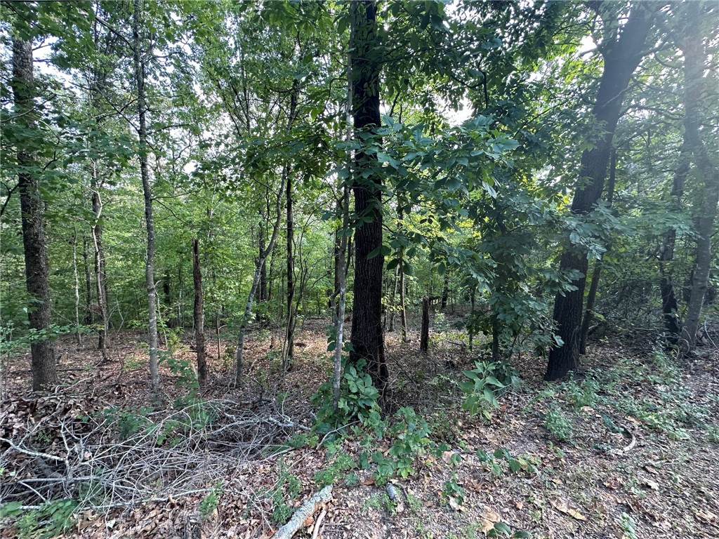Beautiful private .29 of an acre lot near The Ledgers Bike trail near new construction homes. Nice, paved road close to all the fun Bella Vista has to offer! In Bentonville school district. Perfect spot for a walk out basement.
