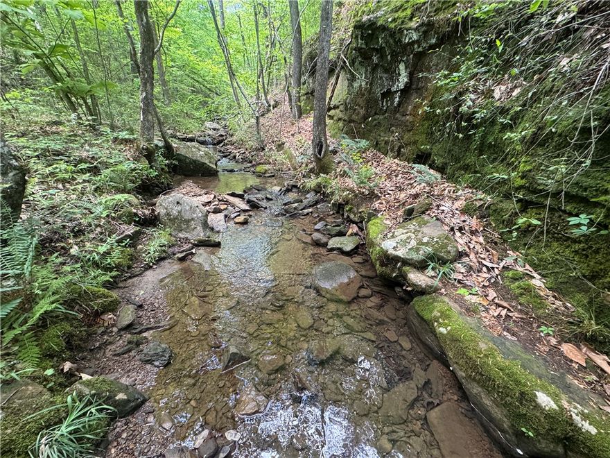 13.02 beautiful acres in Walnut near the Big Piney bordering National forest land. Property has lots of great level building spots and access to power, hardwoods and natural springs. Build your dream weekend retreat, full time residence, or investment property. Enjoy the peace and tranquility of the area.