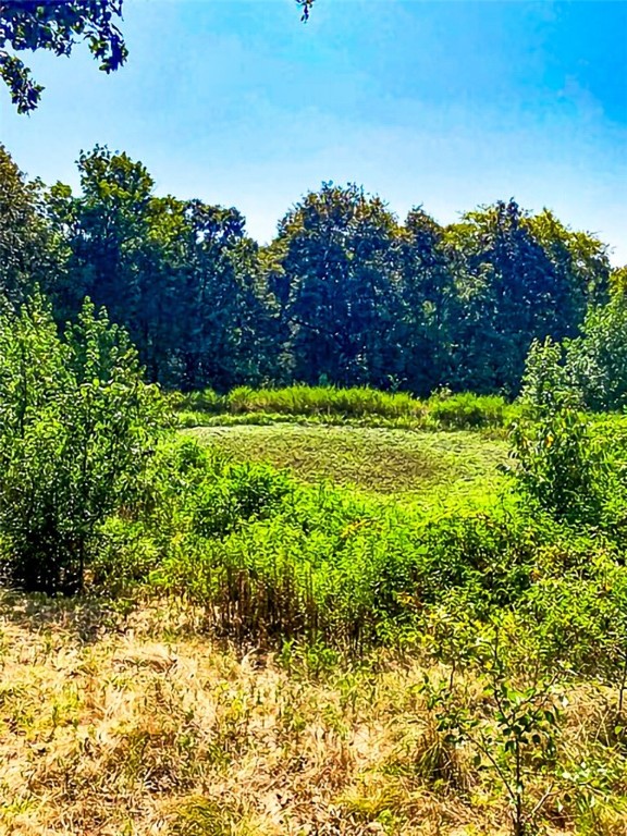 Build your New Home , surrounded by shade trees . An inviting pond is where the kids will want to hunt for frogs and fish for supper , There's room to build a guest house or AirBNB and still have room for Dad to Build a huge shop . Mow whatever you want and let nature take care of the rest . Welcome to your New Paradise ! Pottsville Schools ! LOCATION is where it's at !!!!!