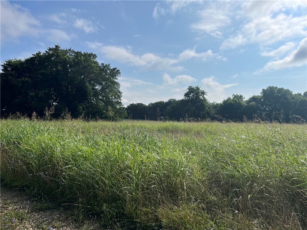 Farmington Outlots 2008 Annex - Land