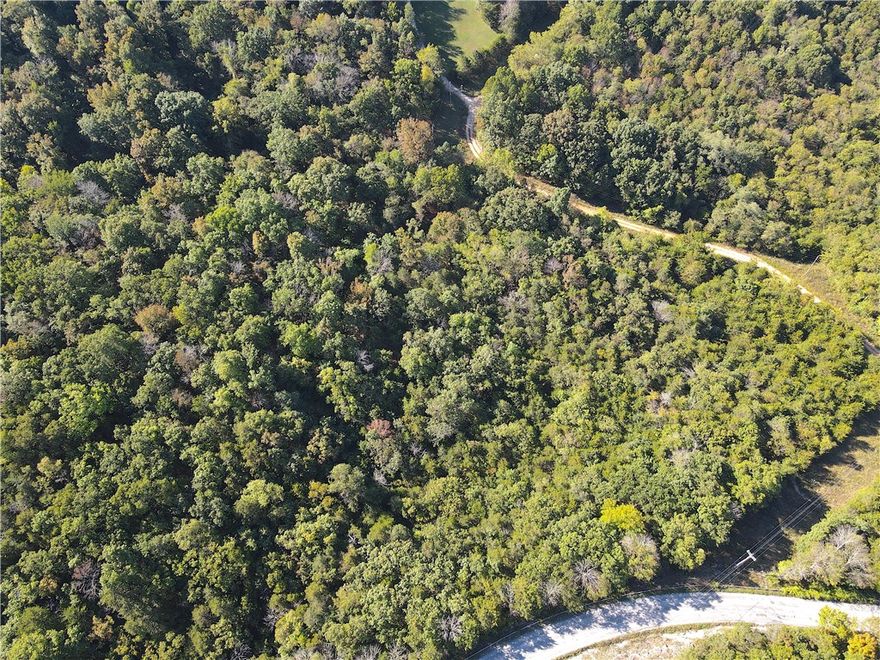 Located just outside of Berryville, Arkansas, this 6.5 +/- acre wooded property is a prime opportunity for building. The land offers road frontage on two sides, with electricity and fiber optic available for modern convenience. A seasonal creek runs through the property, attracting local wildlife and adding natural character to the landscape. With its buildable terrain and private, wooded setting, this tract is ideal for a secluded homesite, recreational retreat, or investment.