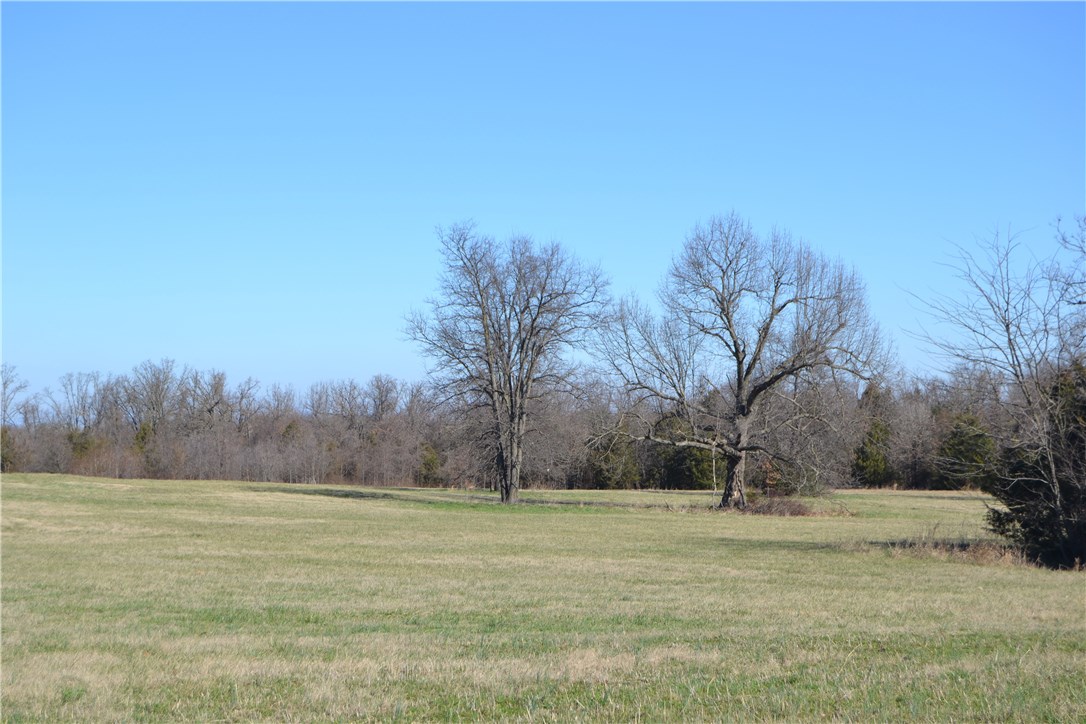 Green Forest Outlots - Farm