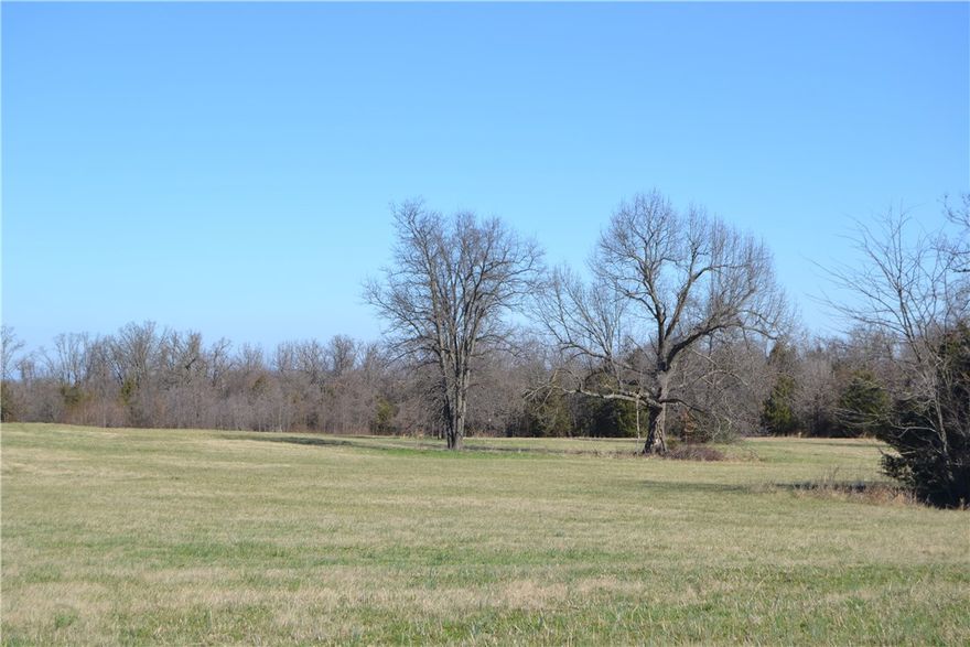 Would make a great farm for Cattle and/or turkeys with 4 existing houses.  2 homes located on property. Additional house is 3 bed, 1 bath and would make an ideal rental or extended family property.  With proposed highway development, could be great investment property for subdivision OR commercial applications.  Has city water, natural gas and sewer on location.  City limits is across county road. With the growth potential in the city of Green Forest, this could be a great investment possibility!