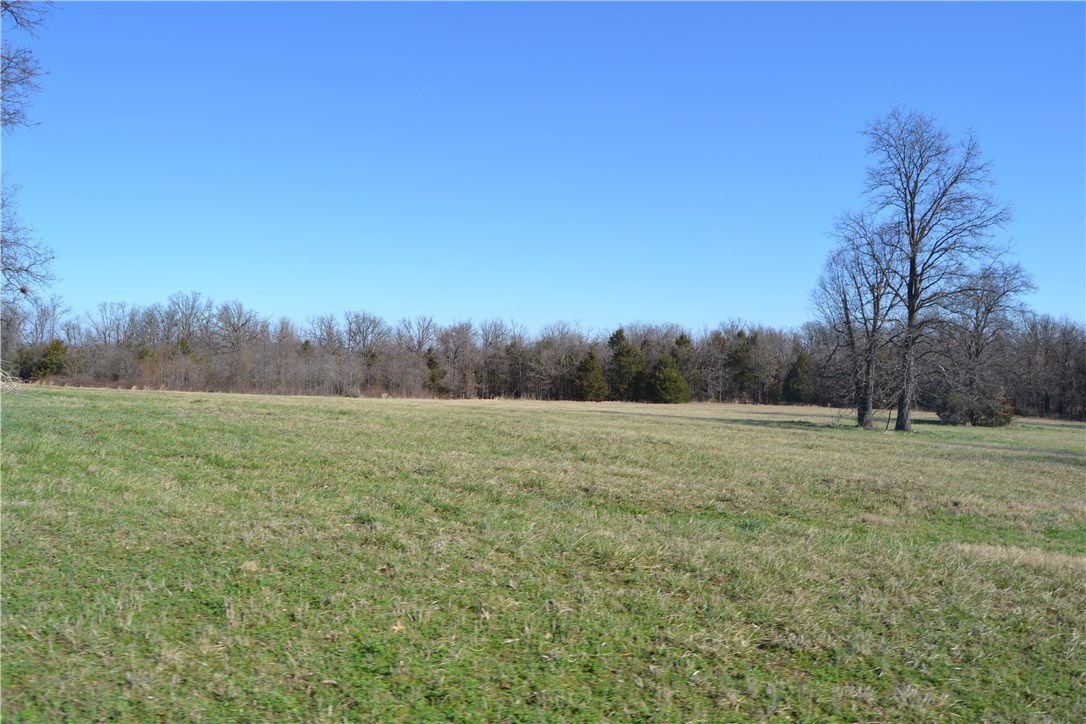 Green Forest Outlots - Farm