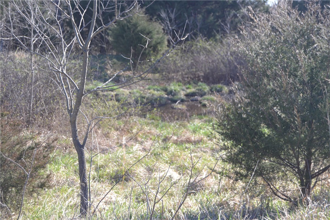 Green Forest Outlots - Farm