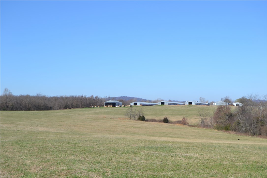 Green Forest Outlots - Farm