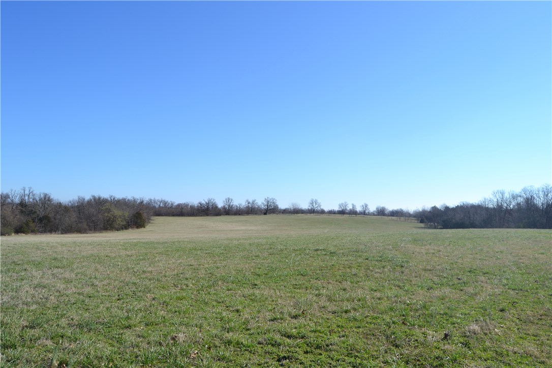 Green Forest Outlots - Farm