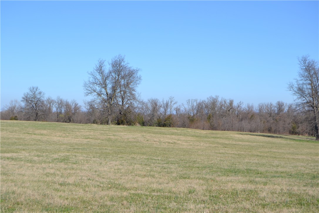 Green Forest Outlots - Farm