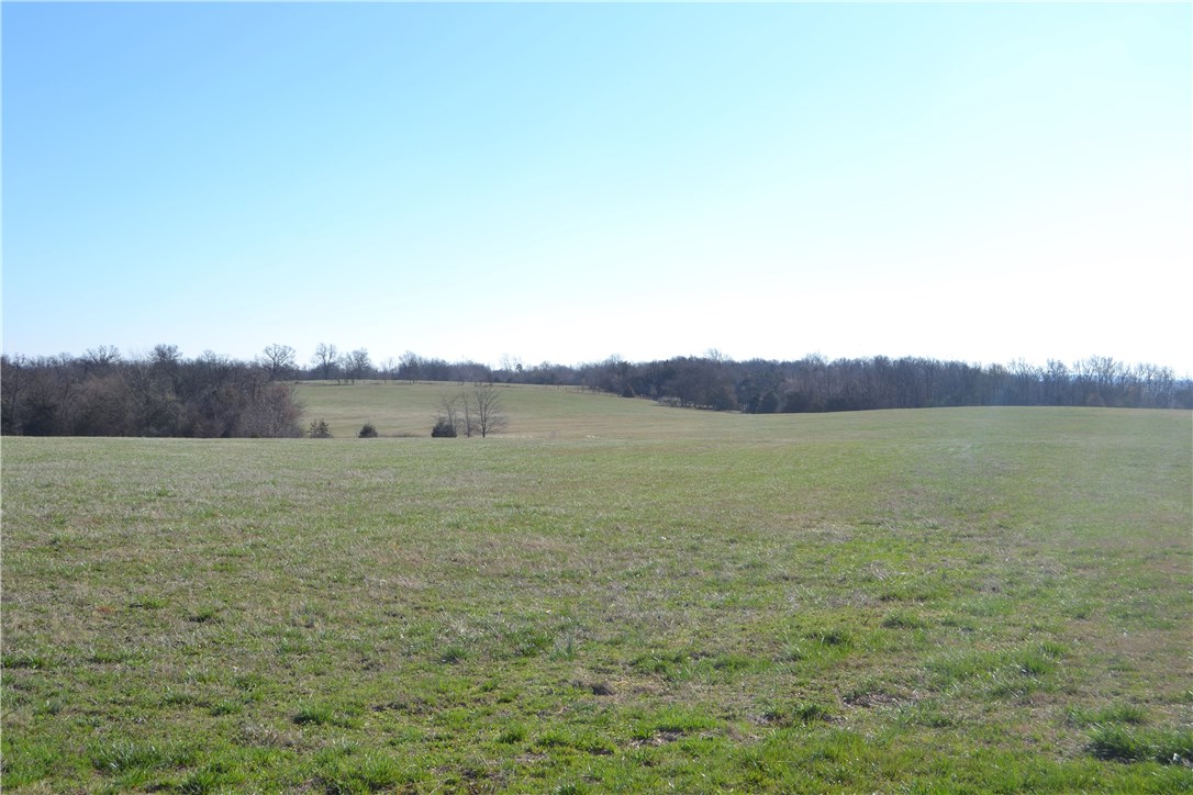 Green Forest Outlots - Farm