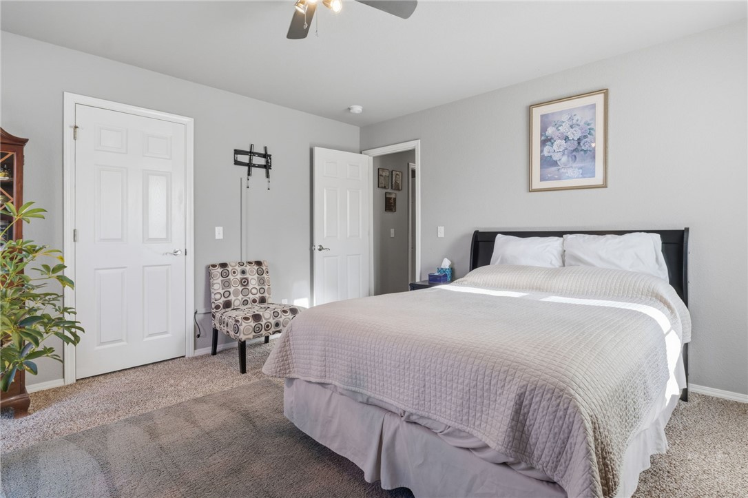 Cardigan Sub Bvv - Residential