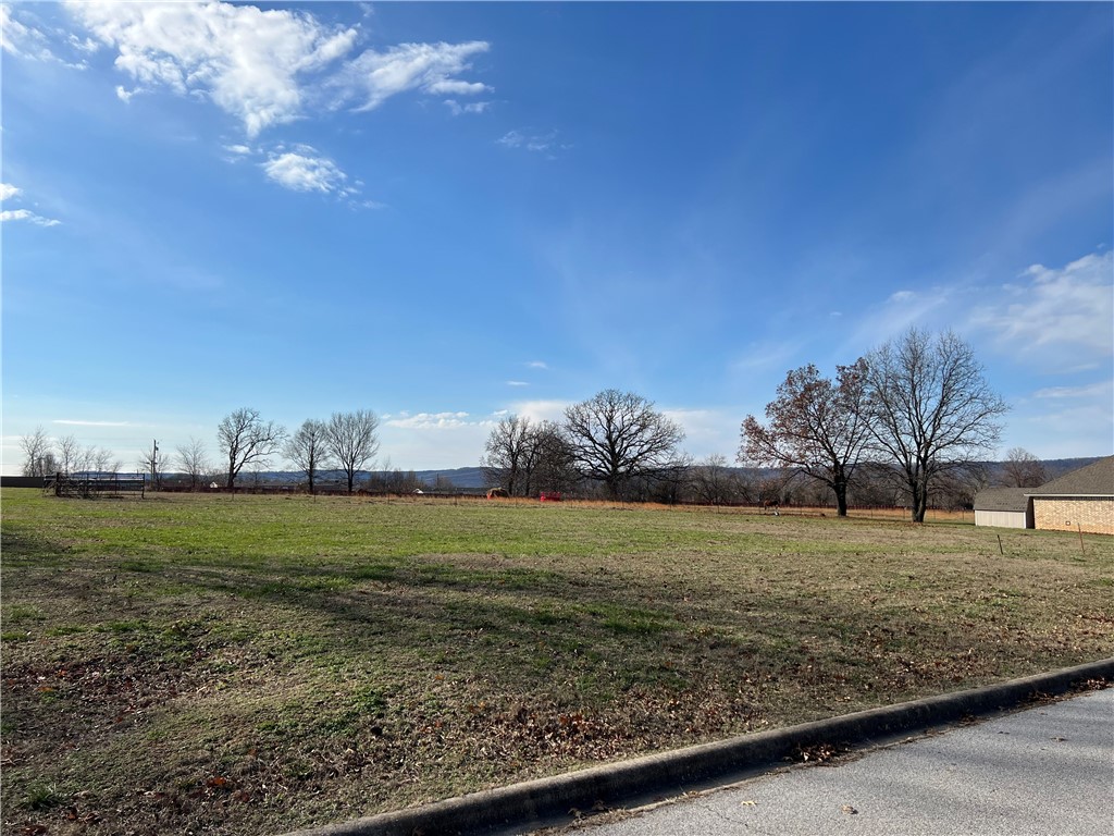 Desirable lot in the beautiful, and coveted, Southern Heights Subdivision. Two combined lots, totaling .58 acres, are cleared, level, and ready for your dream home to be built. Public water, natural gas, and sewer are all located at the street. Southern Heights is a very well-maintained subdivision on the outskirts of Berrvyille, but with close proximity to all the amenities of town. Very few of these lots come up for sale publicly, so, don't miss your chance!