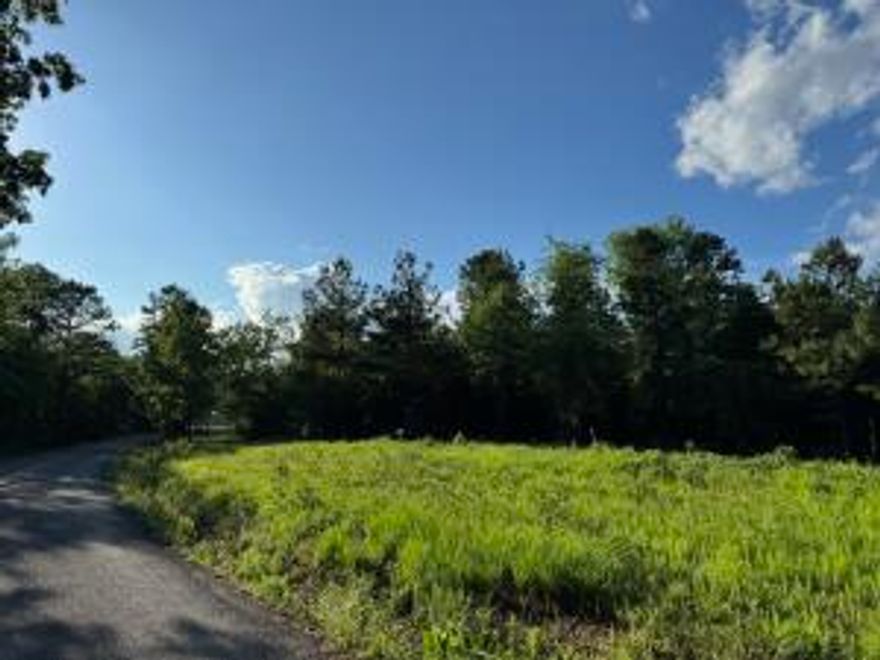 Have you been searching for land to build your dream home on? Look no further! This partially cleared 3 acres is calling your name! Wooded in the back but can be cleared for a better view or more seclusion. Land is located on a paved road so never worry about getting your vehicle muddy. Water and electric right at the road so minimal cost to get that setup for building, and only minutes from Dover School District! Come take a look today!