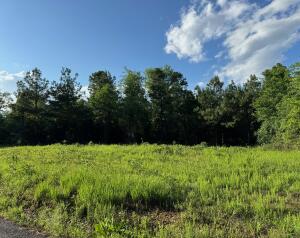 Other Subdivision - Land
