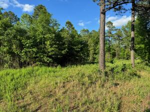 Other Subdivision - Land