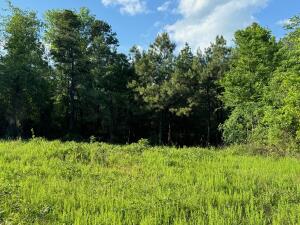 Other Subdivision - Land