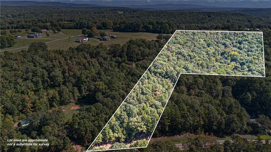 Escape to 12 private acres of native woods with easy access and endless potential. Whether you’re dreaming of a cozy cabin retreat or a quiet place to build your home, this peaceful property offers the perfect natural​​‌​​​​‌​‌​​​‌‌​​​‌‌‌​​‌​​‌‌​​​​ setting.