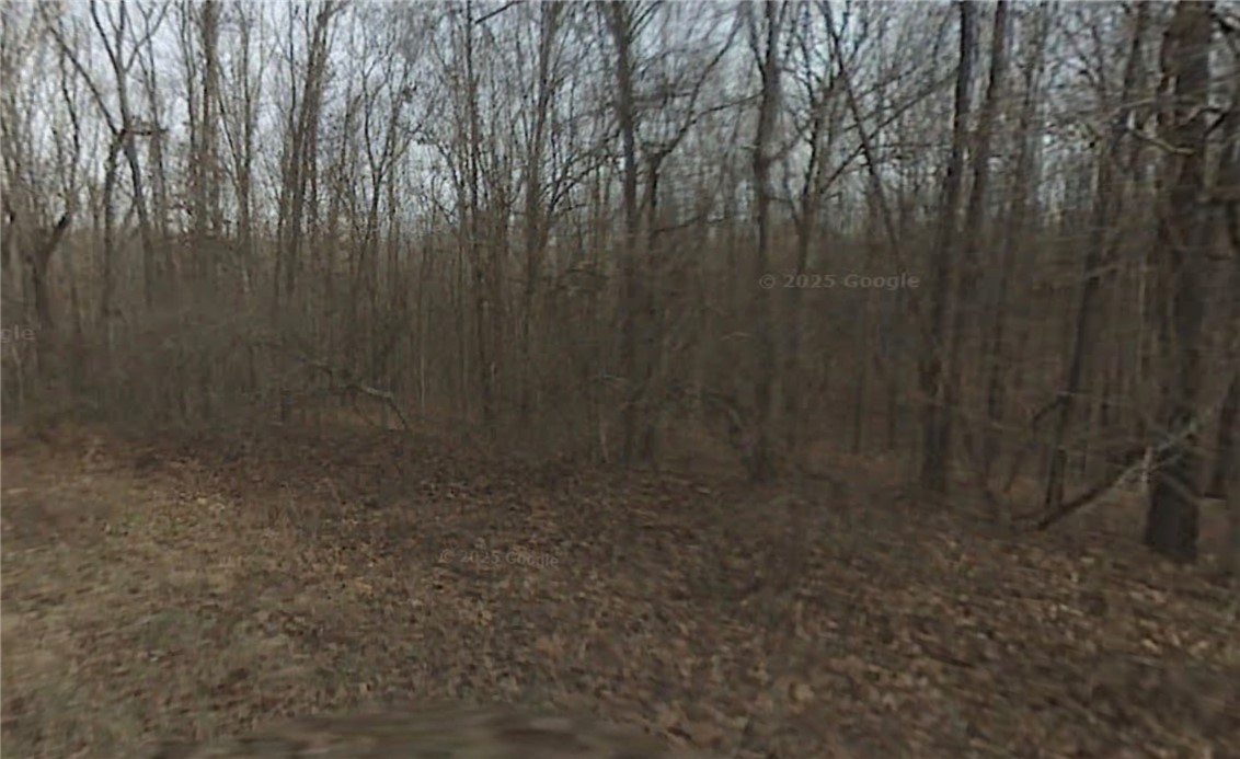 Prime opportunity for builders or investors! This .32-acre wooded lot on E Margate Ln offers a peaceful setting with quick access to Bella Vista’s amenities. Great potential for a spec build or long-term investment in a growing area.