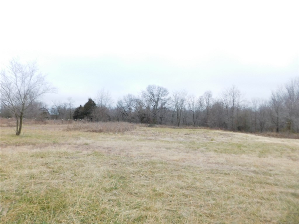Located on one of the busiest roads in Pea Ridge. Development or commercial potential. Almost 1000 feet of frontage on It'll Do which connects both major highways in Pea Ridge. Buyer to do their own due diligence regarding available utilities. Would consider possible parcel split of frontage. Houses on property are not habitable.