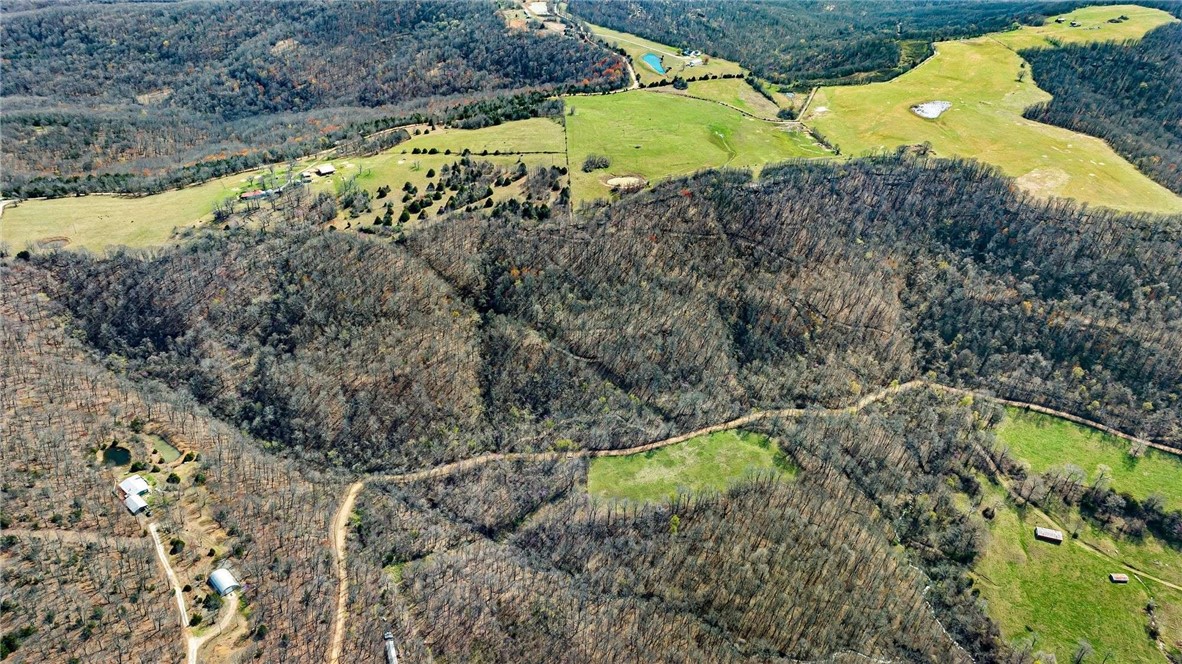 Escape to 43 +/- acres of Ozark beauty in Elkins, Arkansas! This versatile property offers a mix of open fields and mature woods, perfect for building a dream home, weekend retreat, or recreational haven. Gentle rolling terrain provides multiple building sites with scenic views, while abundant wildlife invites hunting, hiking, and outdoor adventures. Enjoy peaceful, private living without sacrificing convenienceāElkins and Fayetteville are just a short drive away. Donāt miss this rare opportunity to embrace the beauty and lifestyle of the Arkansas countryside!