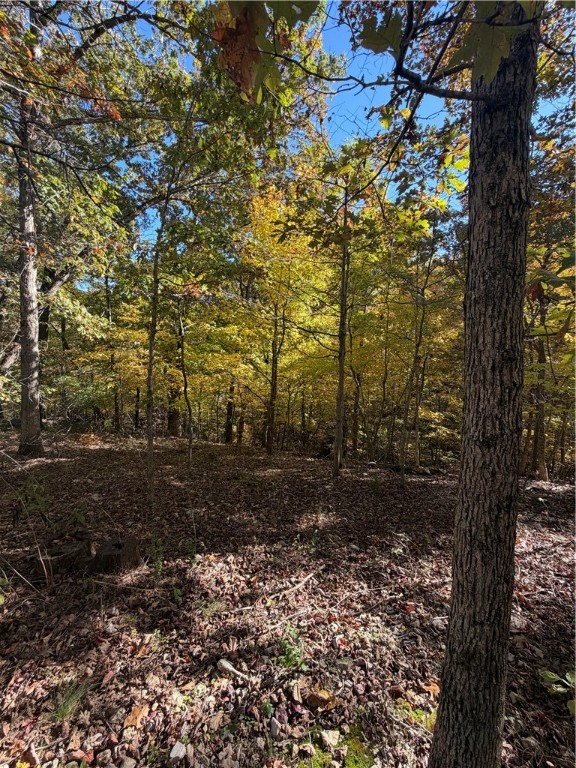 Dornoch Sub Bvv - Land