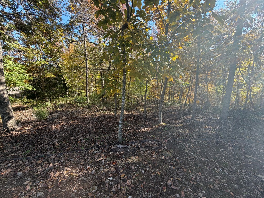 Dornoch Sub Bvv - Land