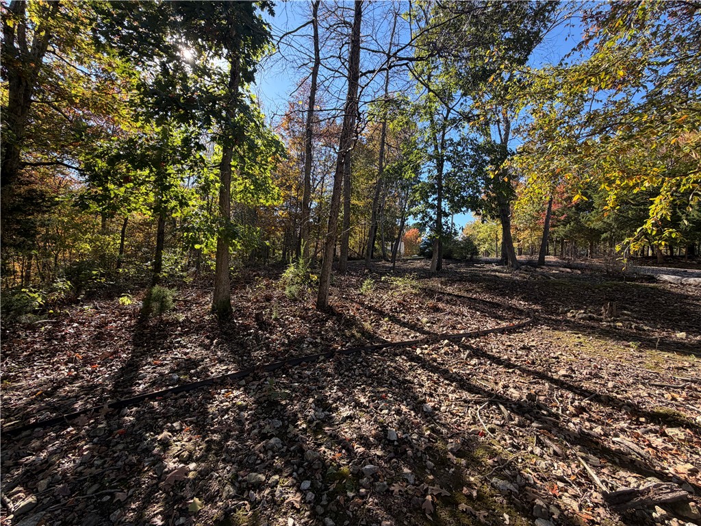 Dornoch Sub Bvv - Land