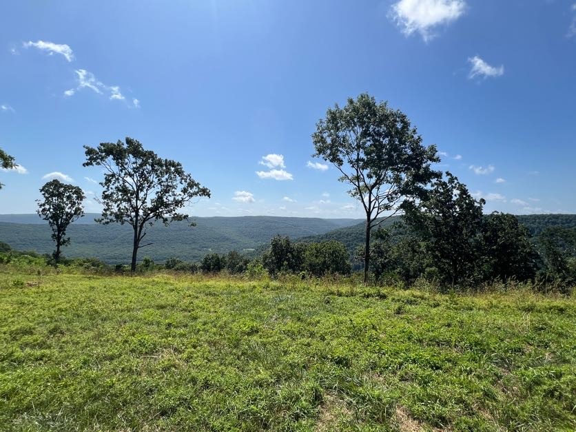 Amazing Ozark views! Don’t miss this rare opportunity to own almost 4 acres of mostly flat, level land in the heart of the Ozarks! Located just off Highway 7, this beautiful property offers breathtaking, panoramic mountain views and easy year-round access – perfect for your dream home or vacation retreat. Owner financing available!
Enjoy the peace and privacy of rural living with the convenience of nearby amenities. With water and electric already available, you’re one step closer to building your ideal getaway.
Whether you're looking to escape the city, start a homestead, or simply enjoy the natural beauty of the Ozark Mountains, this land offers it all.