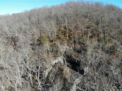 Unimproved Land in West Fork AR 11450 Brubaker Rd 9.jpg