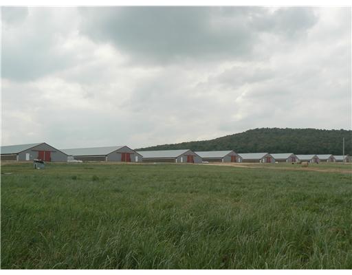 Wow! This farm is neat and clean and just needs a new owner. Up to date farm with drop ceilings, energy conscious LED lighting, and good equipment. Large pond and all brick home. Single wide trailer for farm help.,10 43x500s on 40 acres. Farm is 10 years old.