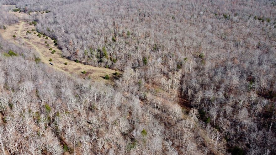 Diverse 121-acres on the Madison/Carroll County line. Known area for deer, turkey, and bear, as evidenced by a mature buck harvested right here in 2025. A small spring trickles from a holler on the east side, on the west side, a huge bluff line features a stunning wet-weather waterfall. Wet-weather sites branch meanders through the middle of the property. During photos, a pair of quail were flushed, showcasing the diverse ecosystem. Approx 2 acres are cleared and adorned with native grasses, with an additional 1/2 acre food plot clearing and many small openings in the timber. The property also features a pine thicket comprised of some uncut mature pine, young volunteer pine, and around 10 acres of 8-10 year cutover, teeming with buck sign. East and west-facing ridges and a bottom that runs north to south, provide varied terrain and habitat. Electric is potentially available via an easement from a neighboring property. Access via a deeded easement, and an existing trail system makes navigating the land a breeze.