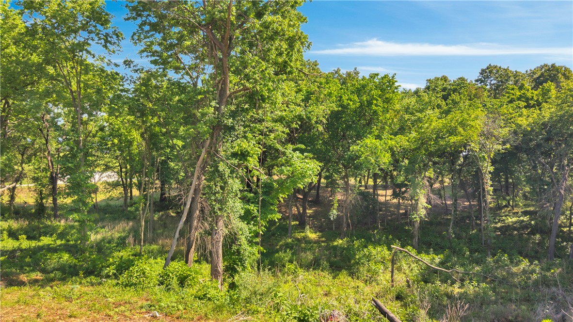 Tontitown Outlots - Land
