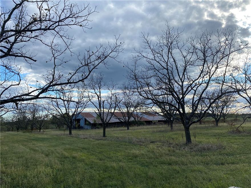 78.23 +/- acres ready to develop