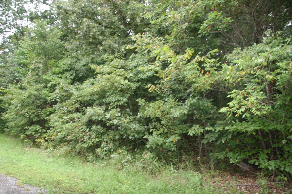 Wooded lot on paved road with water & electric available. Great building site in established neighborhood. No mobile homes allowed.