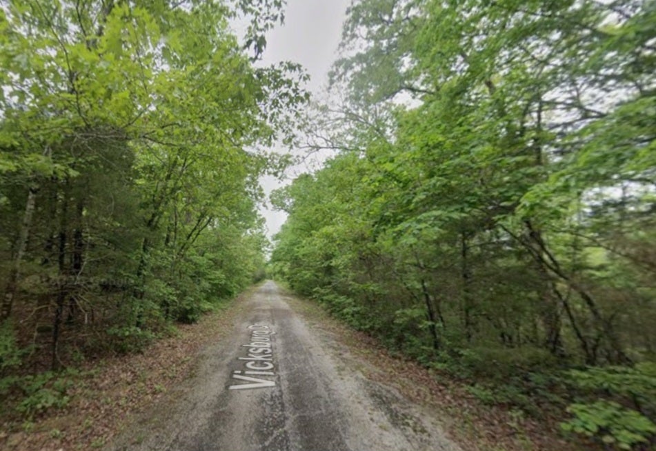 217 Vicksburg Drive