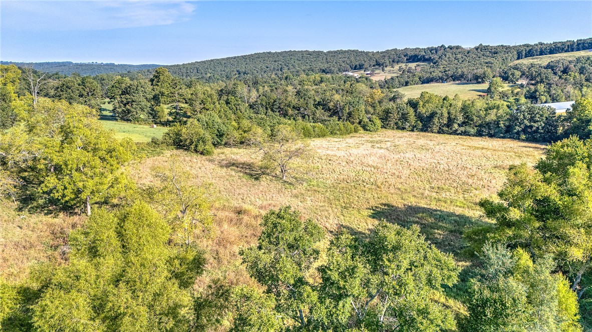 Unlock the potential of this remarkable 43.50 acre tract, located just 2 miles from the heart of Huntsville. This rare offering delivers the best of both worldsāwide-open spaces for building or agriculture, and serene, partially wooded areas that invite privacy, recreation, and natural beauty.A natural spring and 2 creeks grace the property, adding a touch of charm and offering a unique opportunity for sustainable living, livestock, or landscape features. Whether you're dreaming of a private estate, family ranch, or a thoughtfully planned development, the canvas is ready. This property is just minutes from local parks, shopping, dining, and the beloved Huntsville Eagle Football Stadium. Sky High Arena is a short 3-mile drive, offering entertainment and events year-round.Few properties offer this level of location, scale, and versatility. Create a legacy, build your dream, or invest in the futureāthis land is ready for all of it. Call today and schedule your viewing!
Home on property is as-is, and has no value.