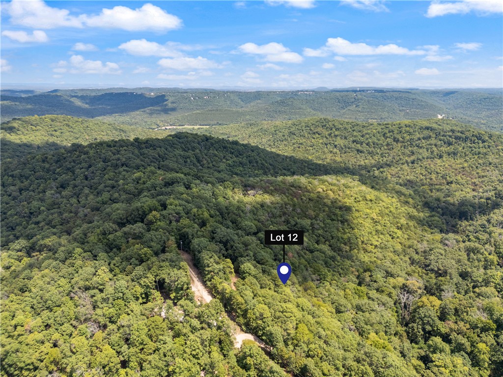Secluded end of the road acreage located just a couple miles from the new Opera of the Ozarks. Downtown Eureka Springs, White River trout fishing and fun on Beaver and Table Rock Lakes are just minutes away.