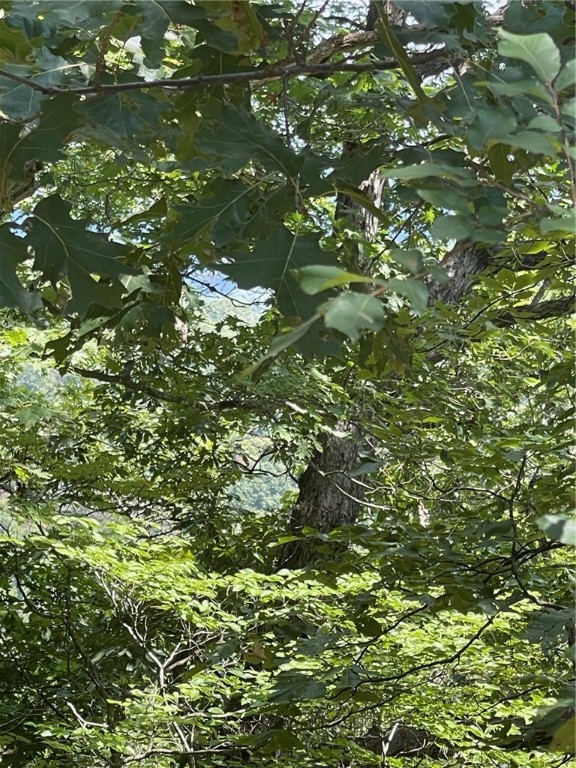 Wolfridge Estates - Land