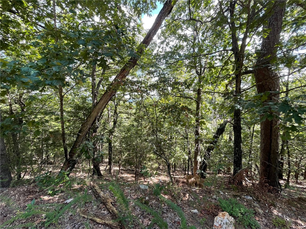 Wolfridge Estates - Land