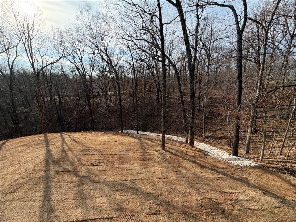 Twin Spgs Estates Ph I - Residential