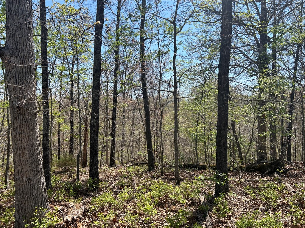 This lot is in a fantastic location near all Bentonville has to offer, including shopping, restaurants, museums, and schools. Enjoy access to all 8 Bella Vista golf courses, 7 lakes, parks, club houses, pools, and trails with your Bella Vista POA. Hikers and bikers will love the convenient location right in the middle of so many trails! This lot is minutes from parking at Little Sage Trail, London, Arthur, Tweety Bird and Tunnel Vision. Lake Windsor is near, along with London Boat Ramp. Bentonville schools - does not have a perc test.