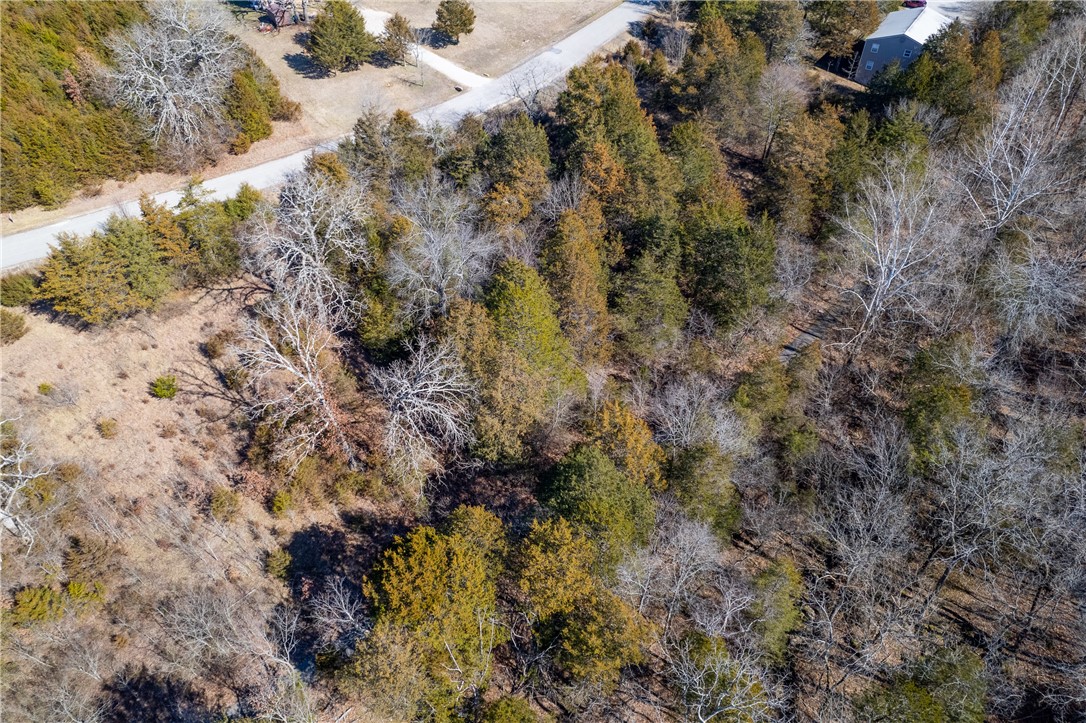 Unit 10 Holiday Island - Land