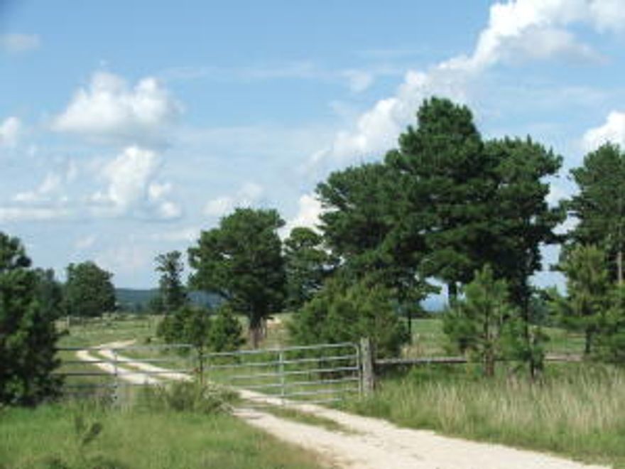 Beautiful mountain top farm. Approx 240 acres of pasture with balance in forest. County road frontage, rural water, and electric available. Ponds great for cattle operation or home sites with excellent views. Lots of wildlife. Large parcels like these are hard to find. Priced at appraised value. Don't miss looking at this one!