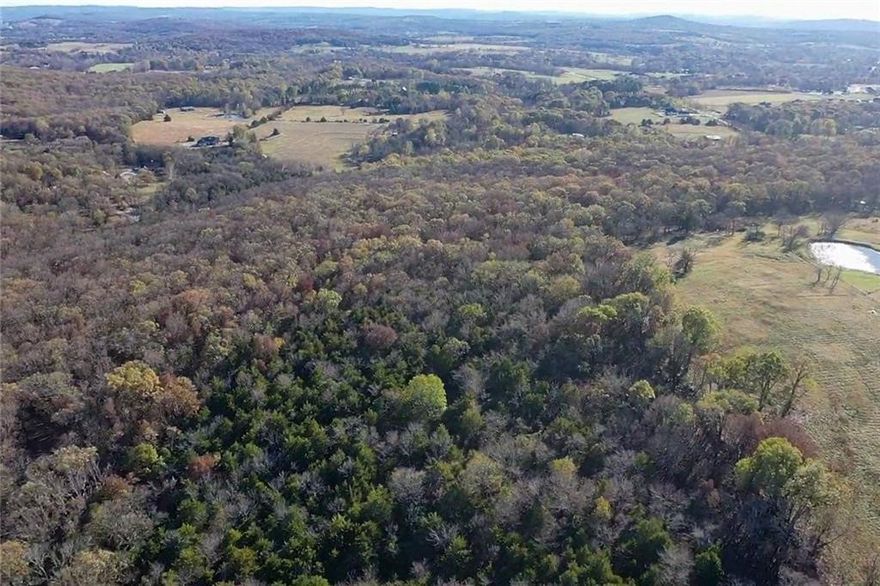 20 Acres in the Ozarks.  Rural