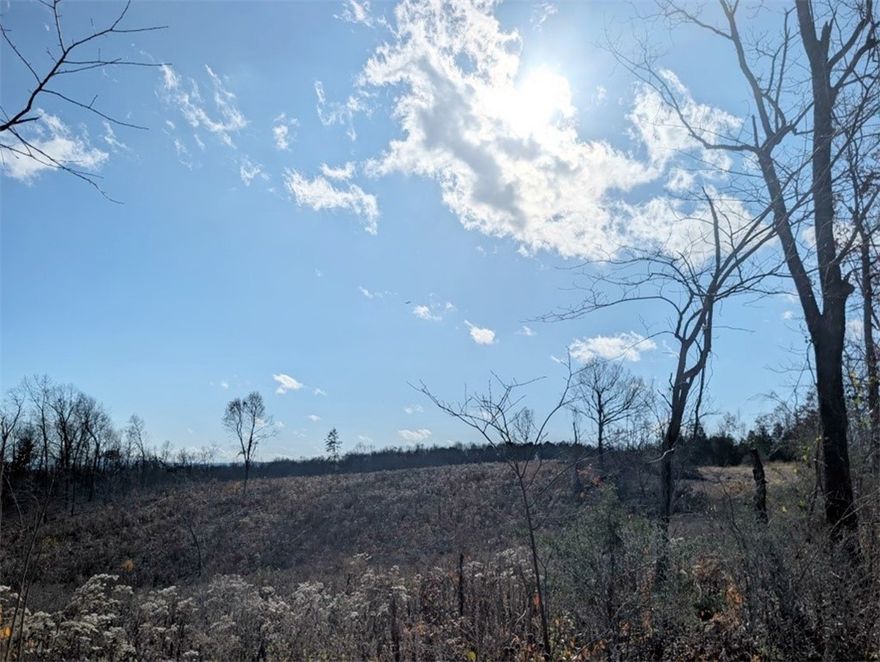 Nestled in the heart of the Ozark Mountains, this beautiful 10-acre parcel offers stunning views with the kind of privacy and seclusion everyone dreams of. Located just minutes from the Buffalo National River and close to the Ozark National Forest, it’s surrounded by abundant wildlife—turkey, deer, and more.  Property also has rural water & electric available with no restrictions & good gravel road access. Whether you love hiking, hunting, floating, fishing, rock climbing, horseback riding, biking, ATV riding, photography or simply enjoying peace and quiet in the woods...this property could be the perfect fit.  All #s are approx, actual acreage to be determined by survey, buyer to verify availability of utilities.