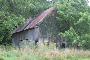 75.25 Acres just south of the college on 123. Old Barn, house and smoke house, great place to build,run cattle, divide into more home sites, Has commercial or light industrial potential. All grass, big lake pond and 3 other ponds. Lots of potential.